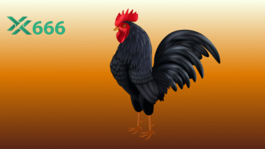 Ai nên tham gia đá gà trực tuyến tại TX666? Review từ cao thủ lâu năm