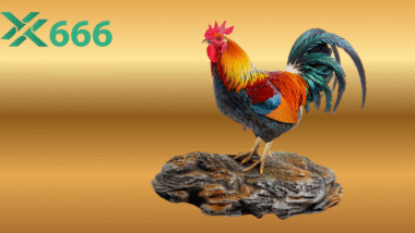 Ai thường đứng sau công tác huấn luyện gà đá tại TX666?