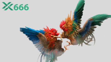 Review 10 sới gà nổi tiếng nhất tại Việt Nam và Campuchia do TX666 tổng hợp